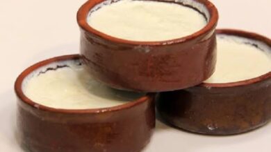 طريقة عمل الزبادي