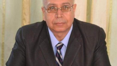 الشيخ فوزي ابو عرايس