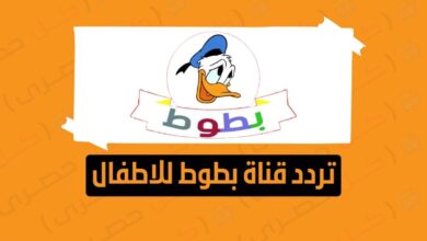 كيفية ضبط قناة بطوط على أجهزة الاستقبال