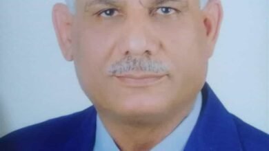 حسن مأمون