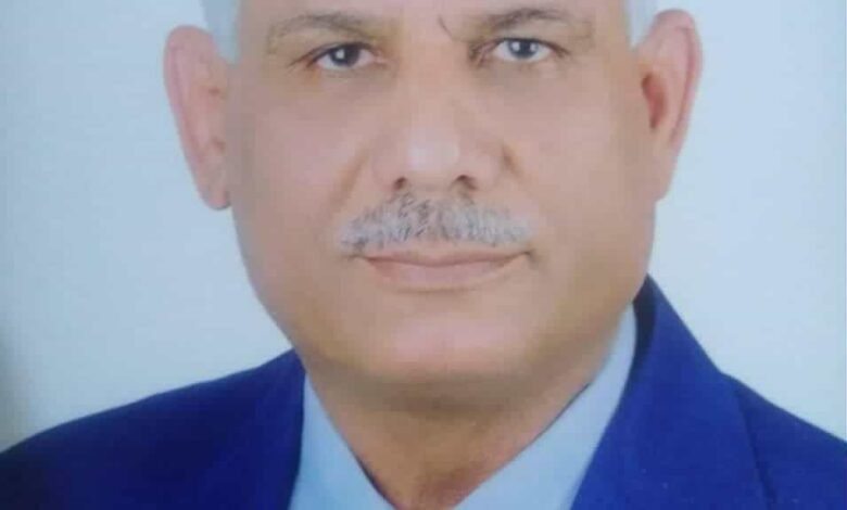 حسن مأمون