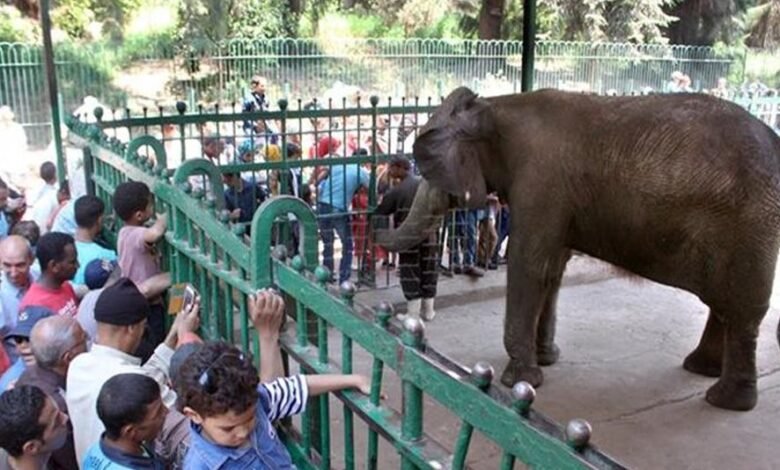 موعد افتتاح حديقة الحيوان بالجيزة