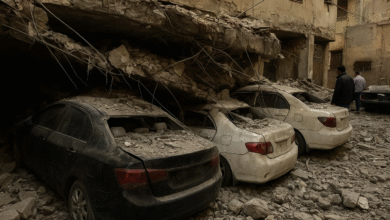 تحطم سيارة شيماء سعيد