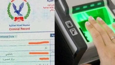 كيفية استخراج فيش وتشبيه أونلاين