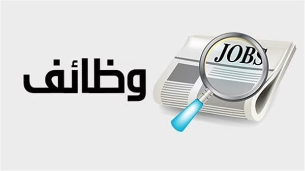 رابط وخطوات التقديم للوظائف الحكومية 2026