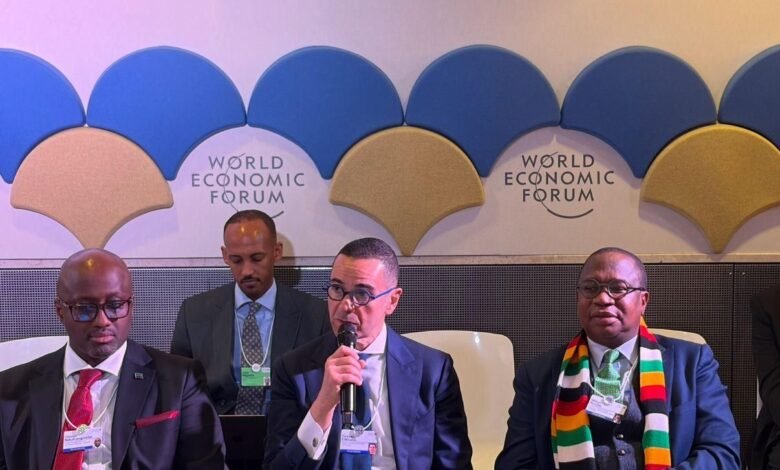 وزير الاستثمار