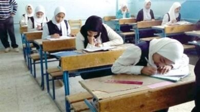 رابط نتيجة الصف السادس الابتدائي 2026