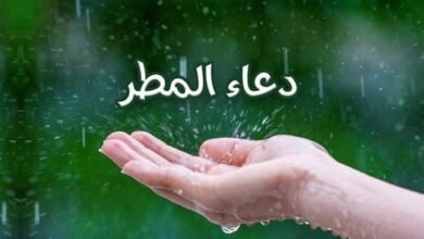 أفضل الأدعية المستحبة عند نزول الغيث