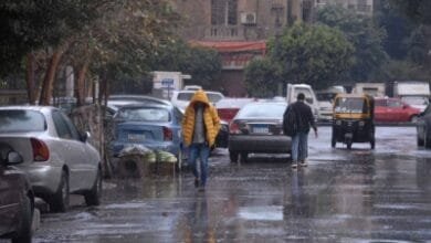 النهاردة كام أمشير 2026