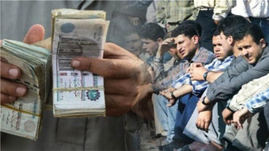 الاستعلام عن منحة العمالة غير المنتظمة عبر موقع وزارة العمل