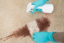 تنظيف السجاد في المنزل