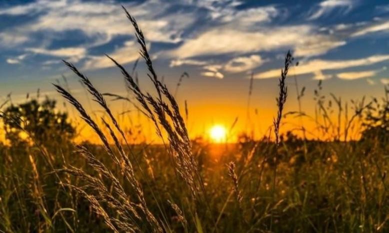 الهيئة العامة للأرصاد الجوية