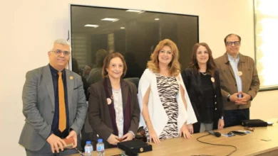 الشراكة الأكاديمية بين مصر واليابان