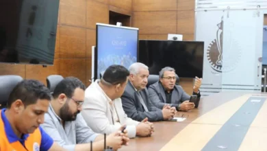 مناورة ألماظة 27