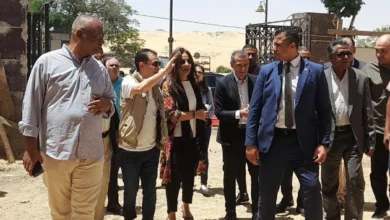 تطوير قصر ثقافة أسوان