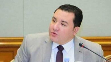 الخبير الاقتصادي محمد باغة