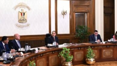 مشروع رأس الحكمة