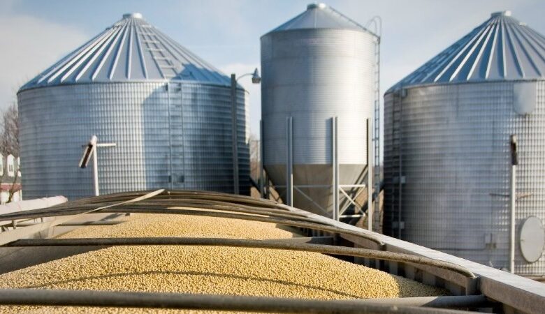 مصر تتحرك لإنشاء مركز عالمي للحبوب