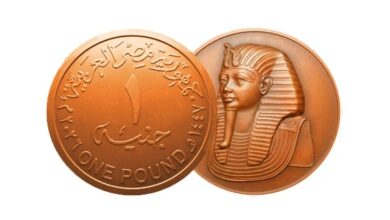 الجنيه المعدني