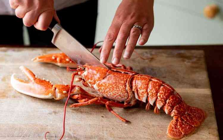 الاستاكوزا