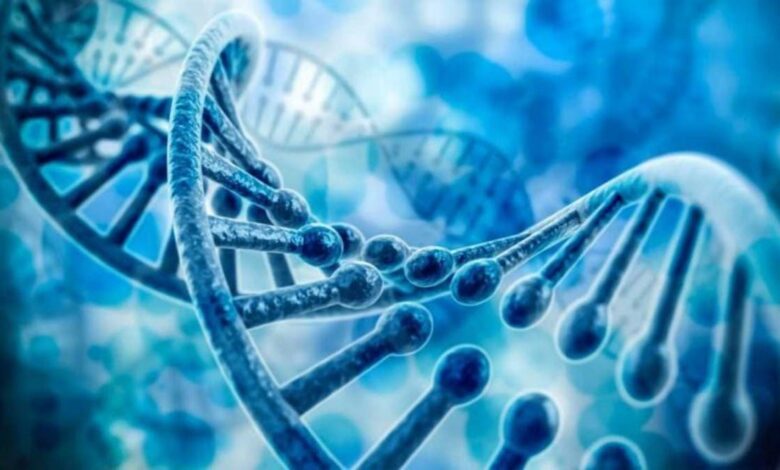 أبحاث سعودية في الفضاء