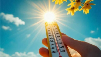 درجات الحرارة اليوم